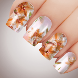 PEACH ETHEREAL LILLIUM Floral Full Cover Nail Decal Art Water Slider Transfer